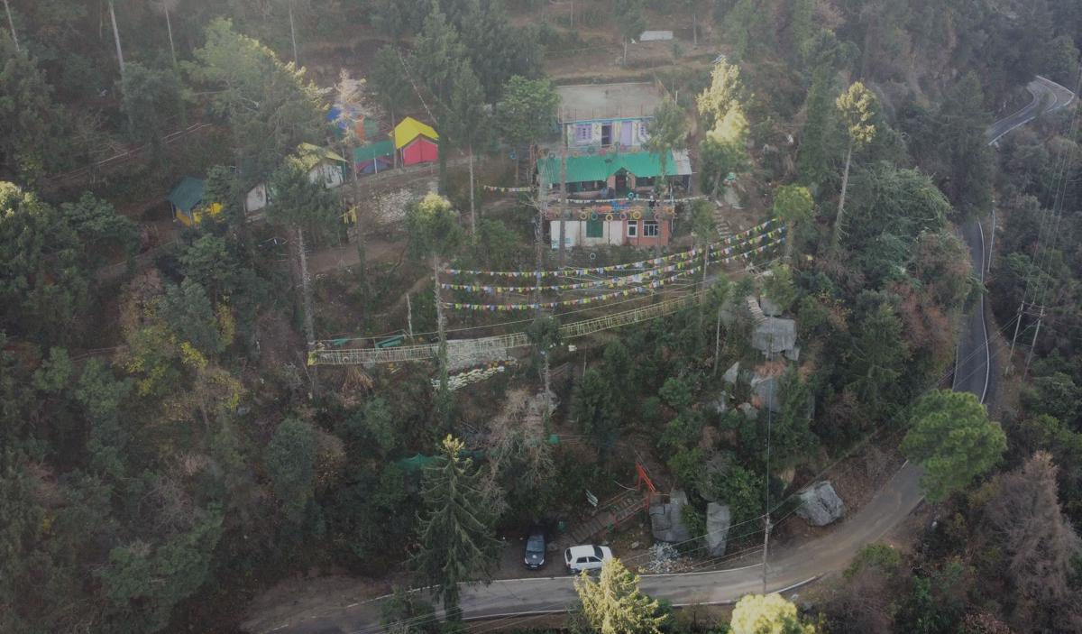 The Birds Hostel, Dalhousie photo 3