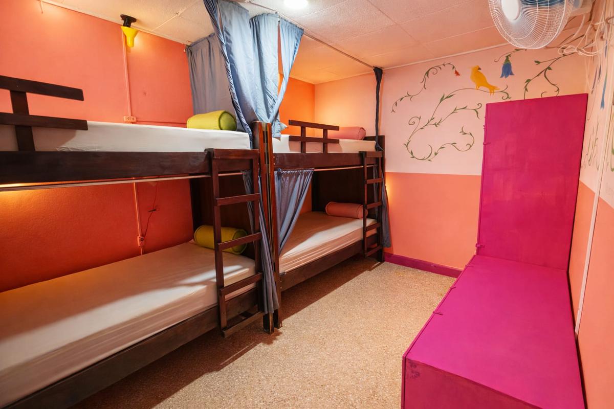 Chillout Hostel Barrio Escalante photo 3