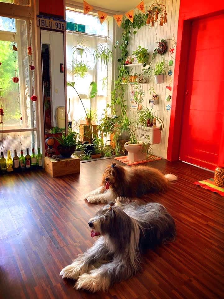 Island Guesthouse photo 1