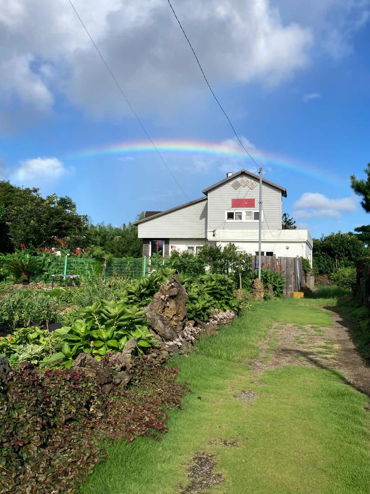 Island Guesthouse photo 2