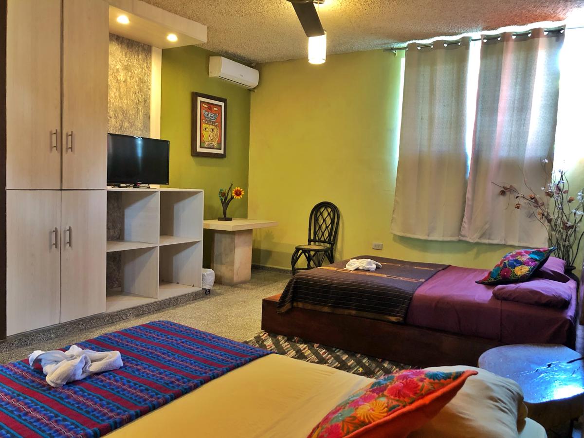 La Zona Hostel photo 2