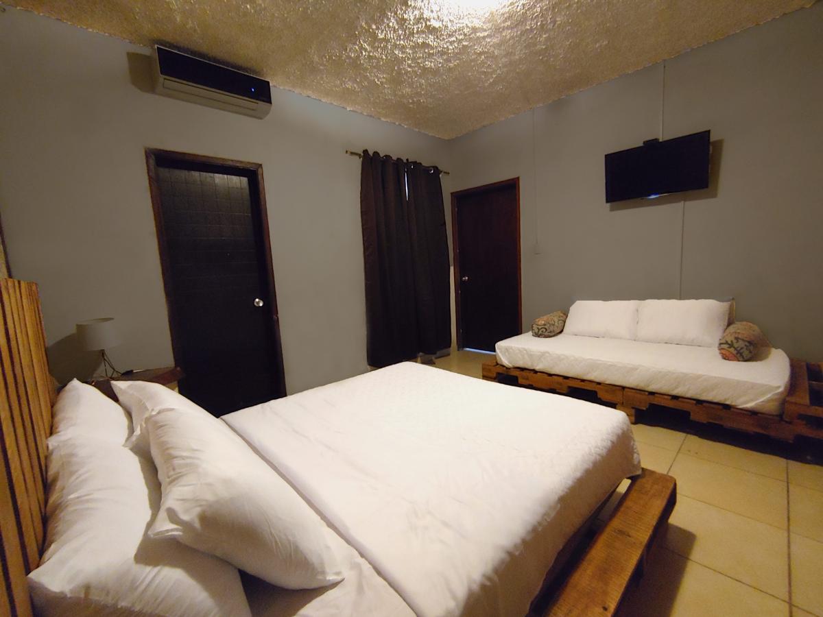 La Zona Hostel photo 3