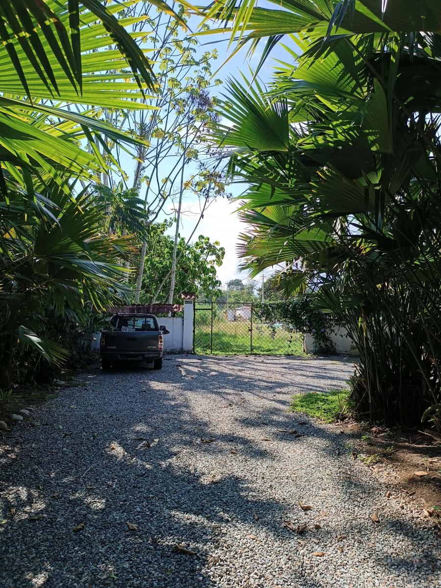 Lodge France Amazonia photo 2