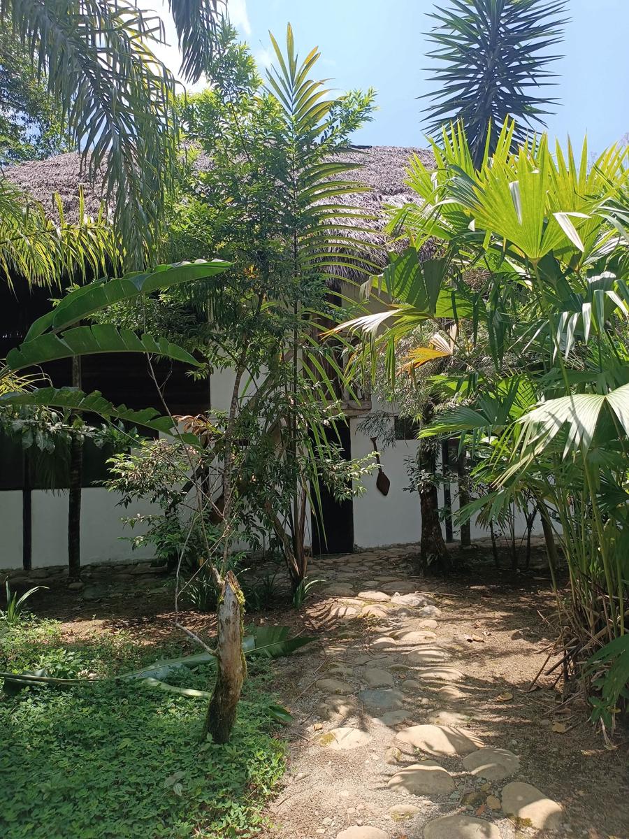 Lodge France Amazonia photo 3