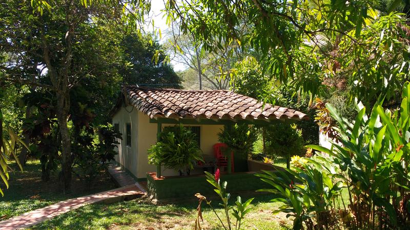 Las Cabanas de Pino photo 3