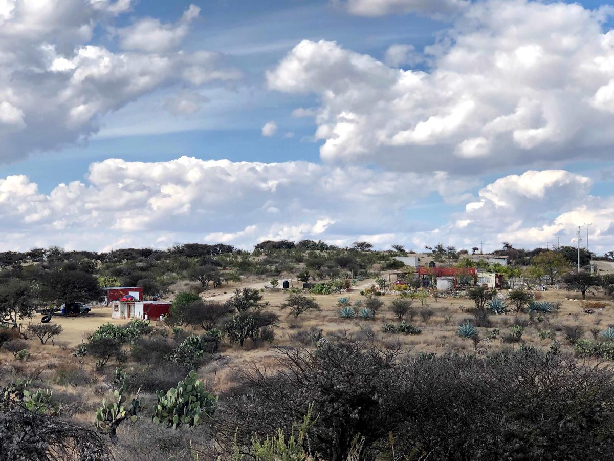 Casa de las Golondrinas -Ecohostal & Campsite- photo 2