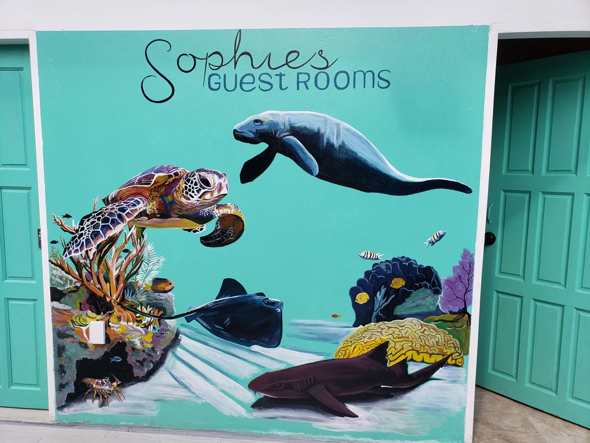 Sophies Guest Rooms photo 4