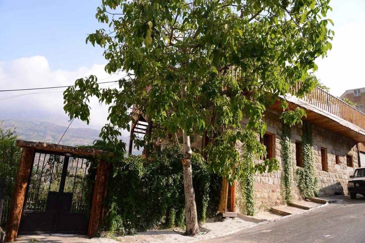 View Lodge Bcharre photo 3