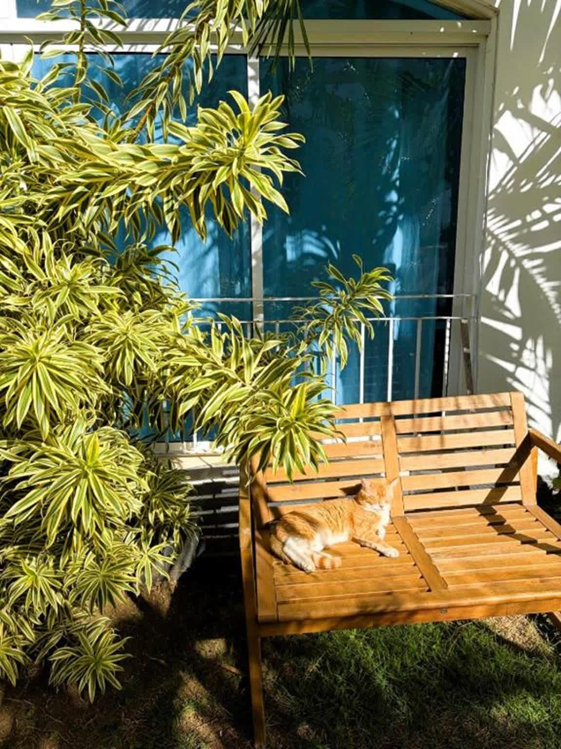 Gava Hostel photo 4