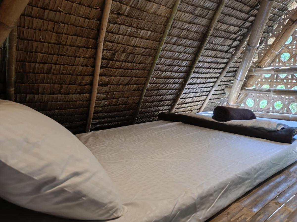 Ecocio Backpackers Hostel photo 3