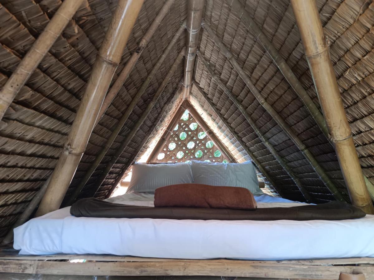 Ecocio Backpackers Hostel photo 4