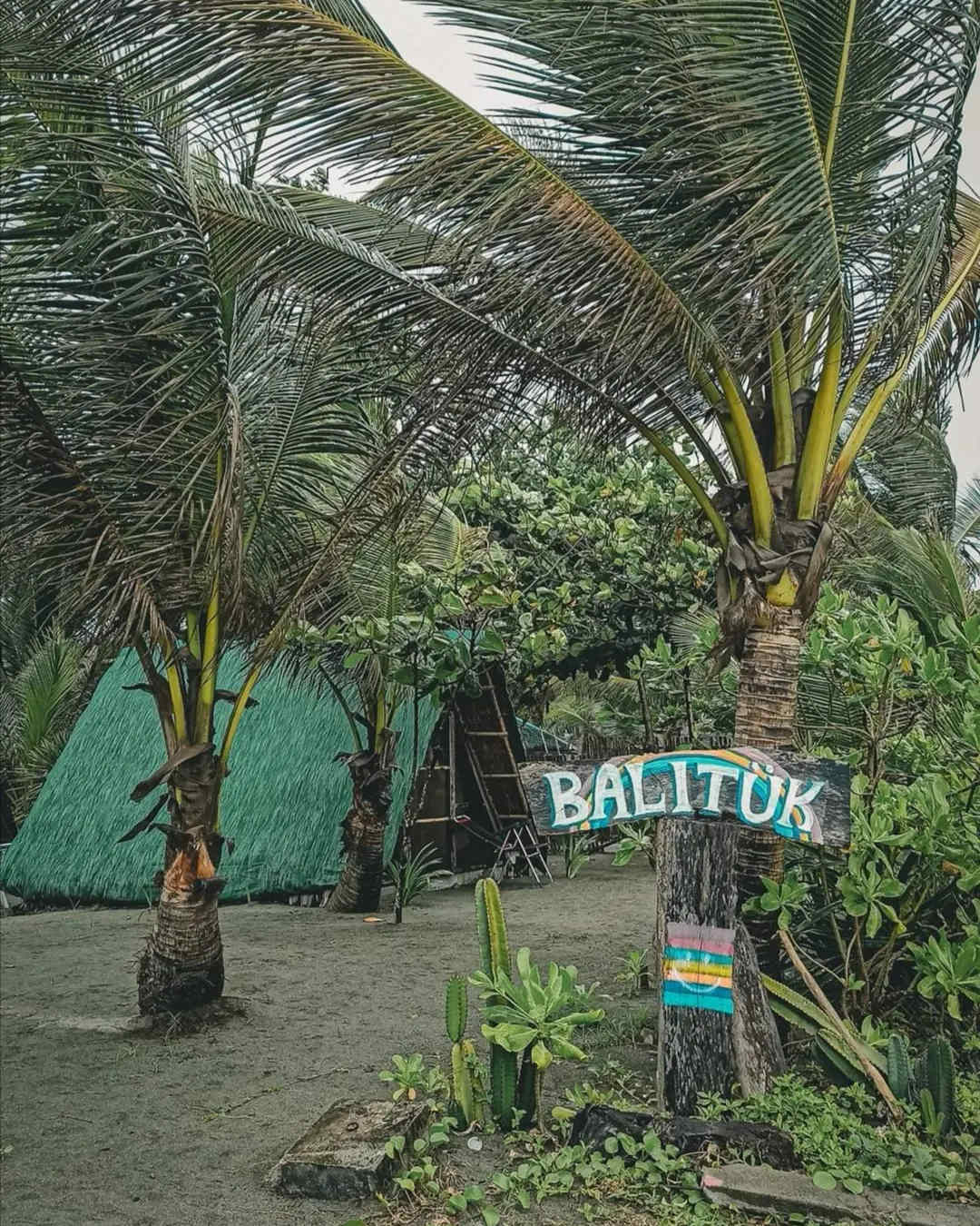 Balituk photo 3
