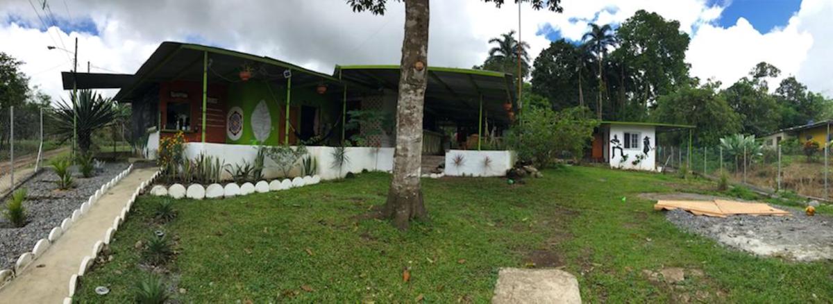 Soursop Hostel photo 1