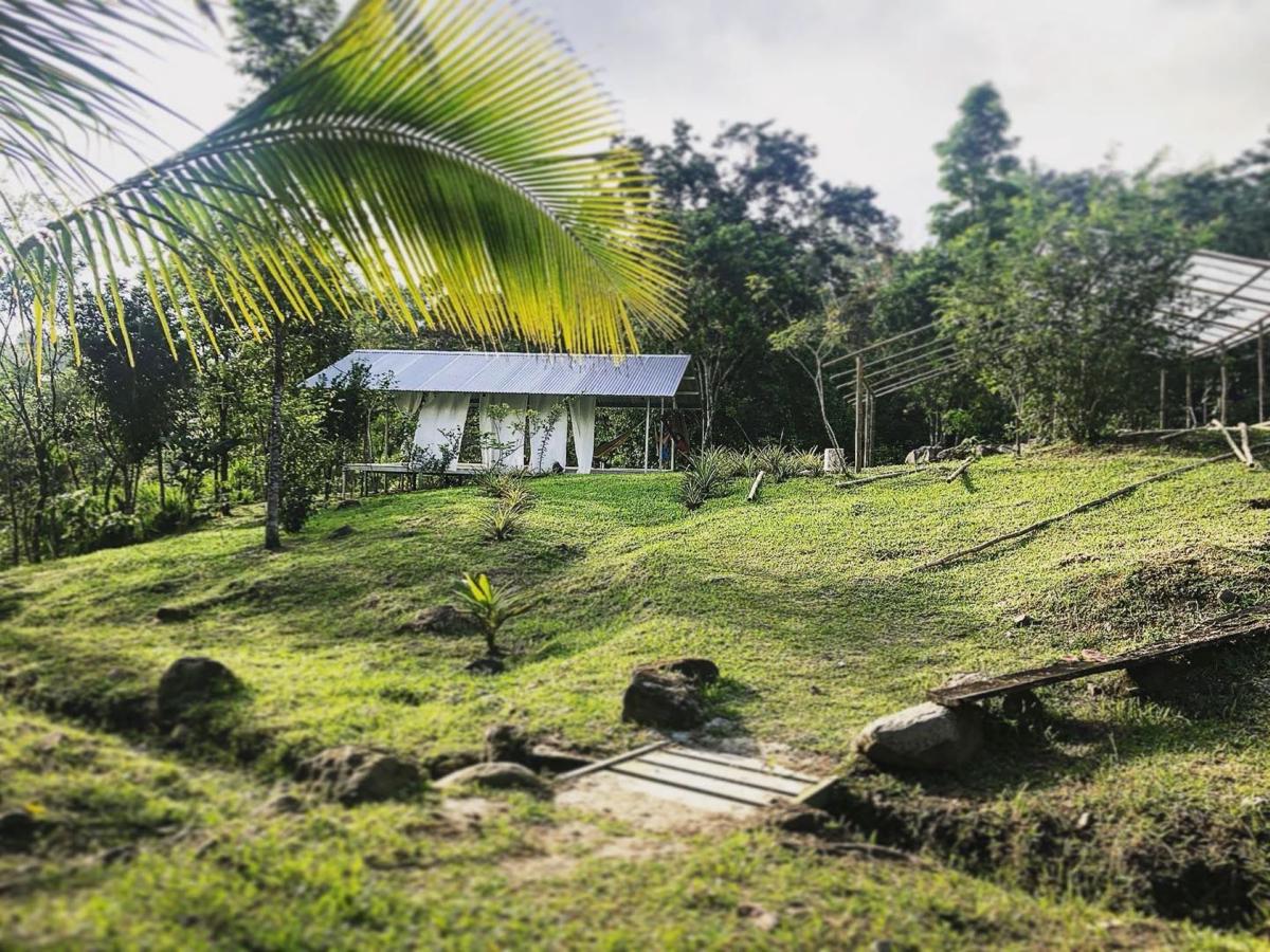 Soursop Hostel photo 2