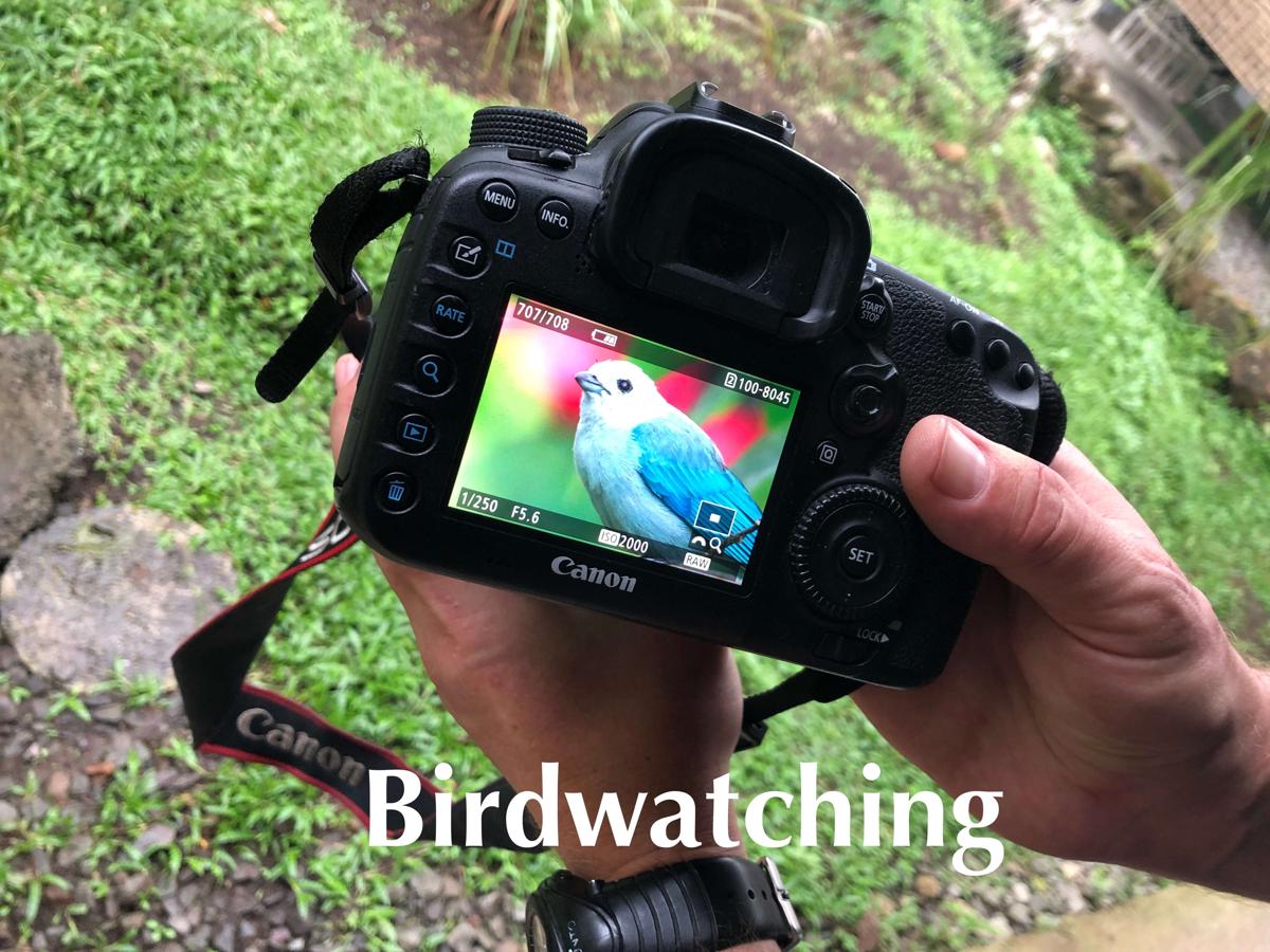 Soursop Hostel photo 3