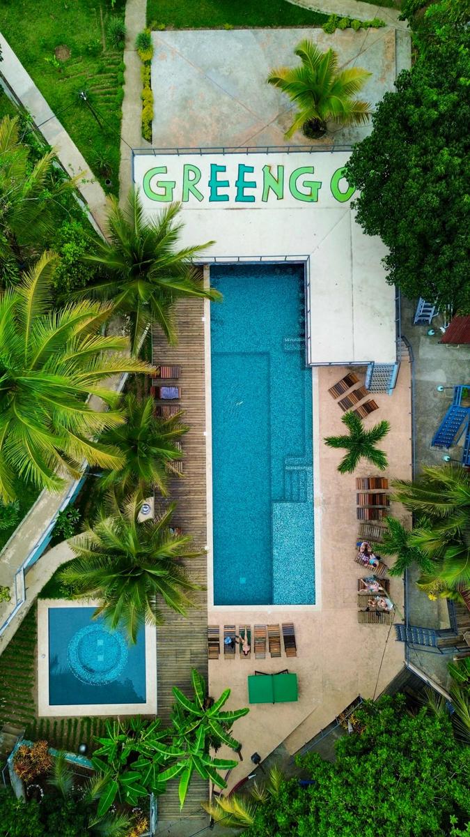 Greengo's photo 4