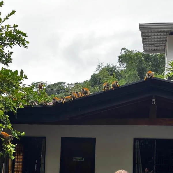 Casa Mar photo 5