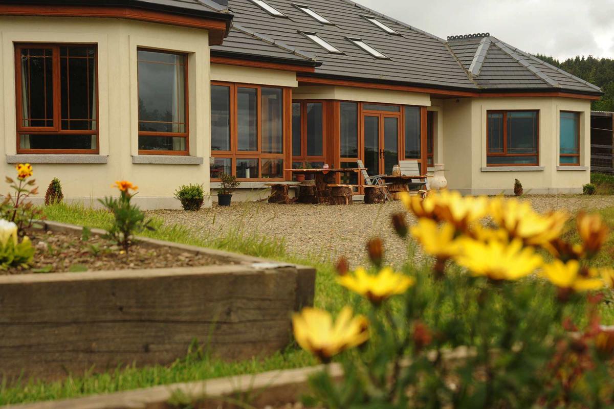 Lus Mor Wicklow Way photo 1