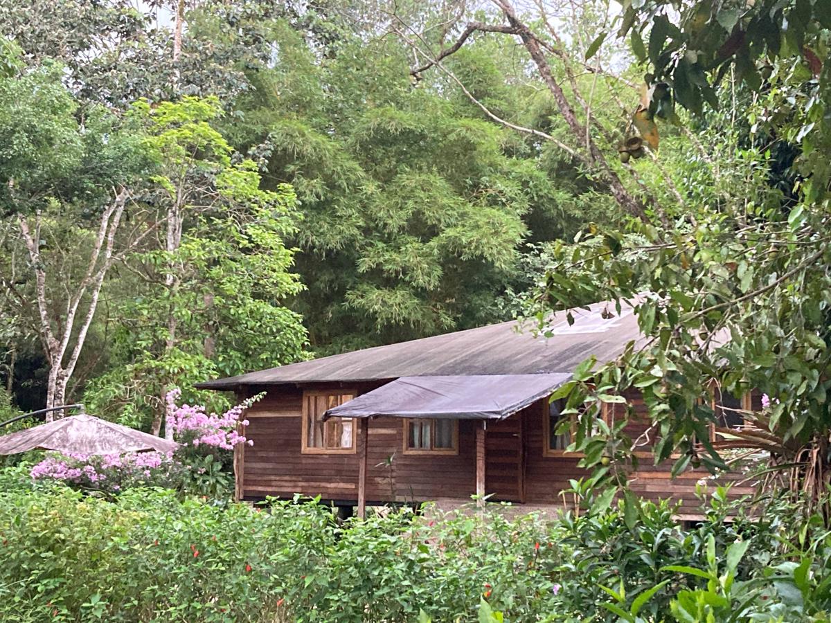 Great Hostels Amazon photo 2