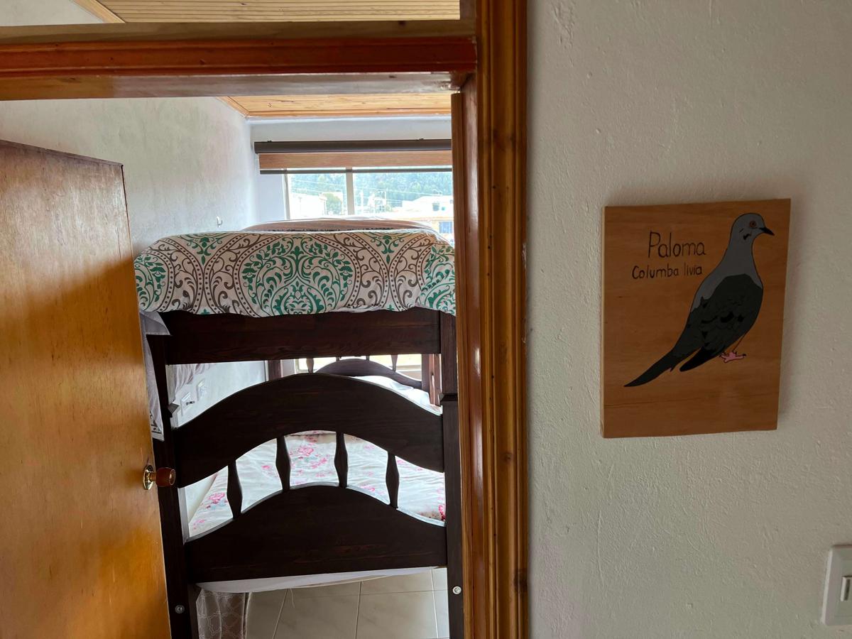 Casa GO photo 3