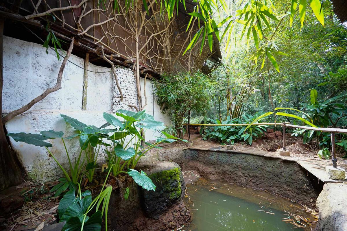 Saraya Ecostay photo 4