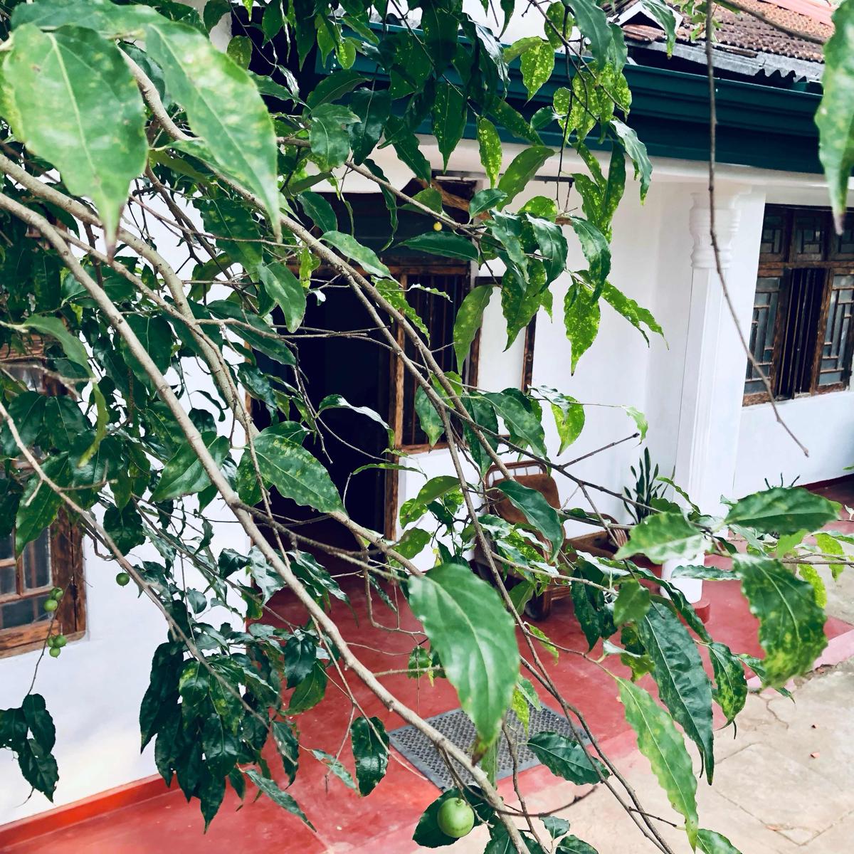 Ku'Vana Hostel Kandy photo 2