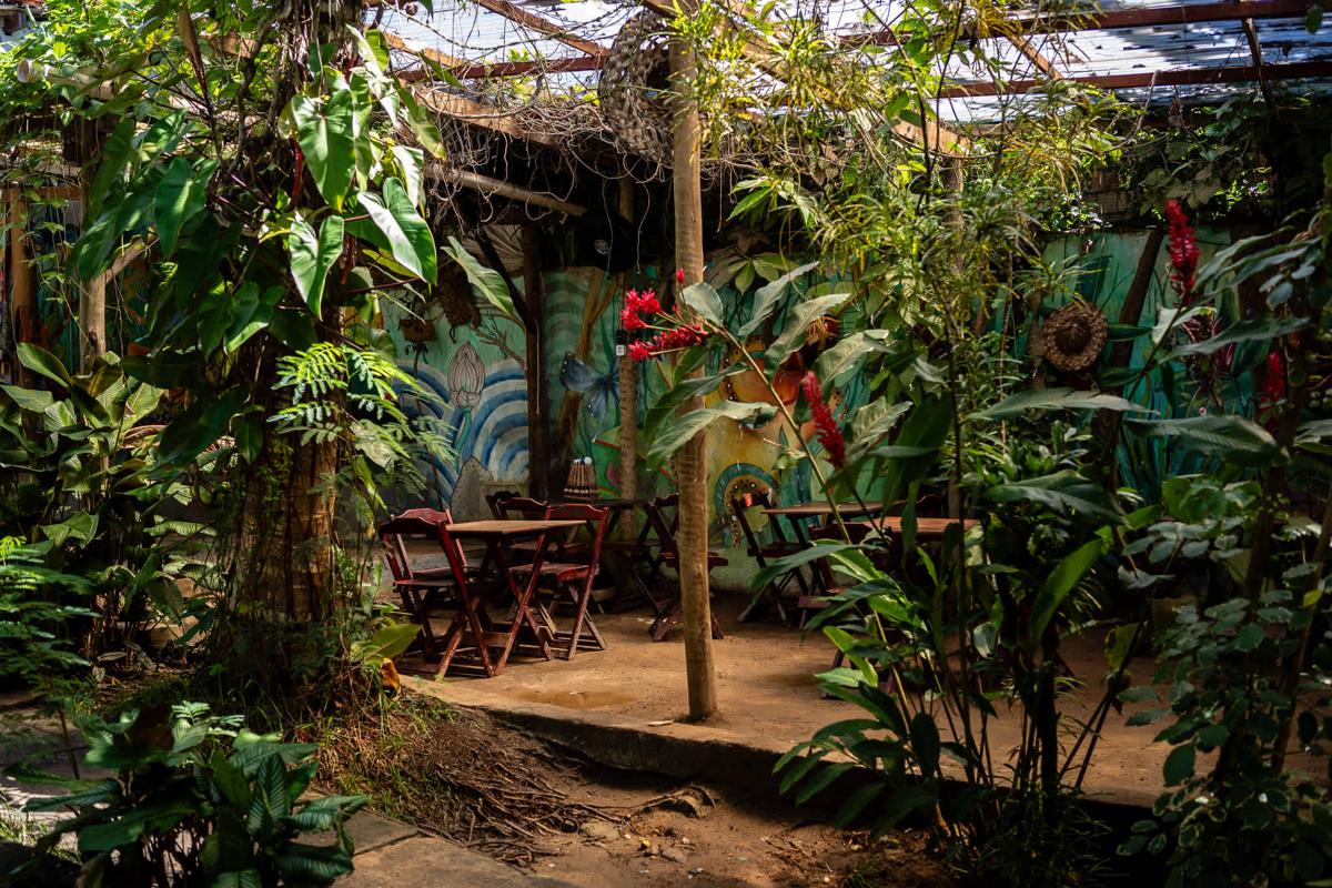 Bananas Hostel photo 1