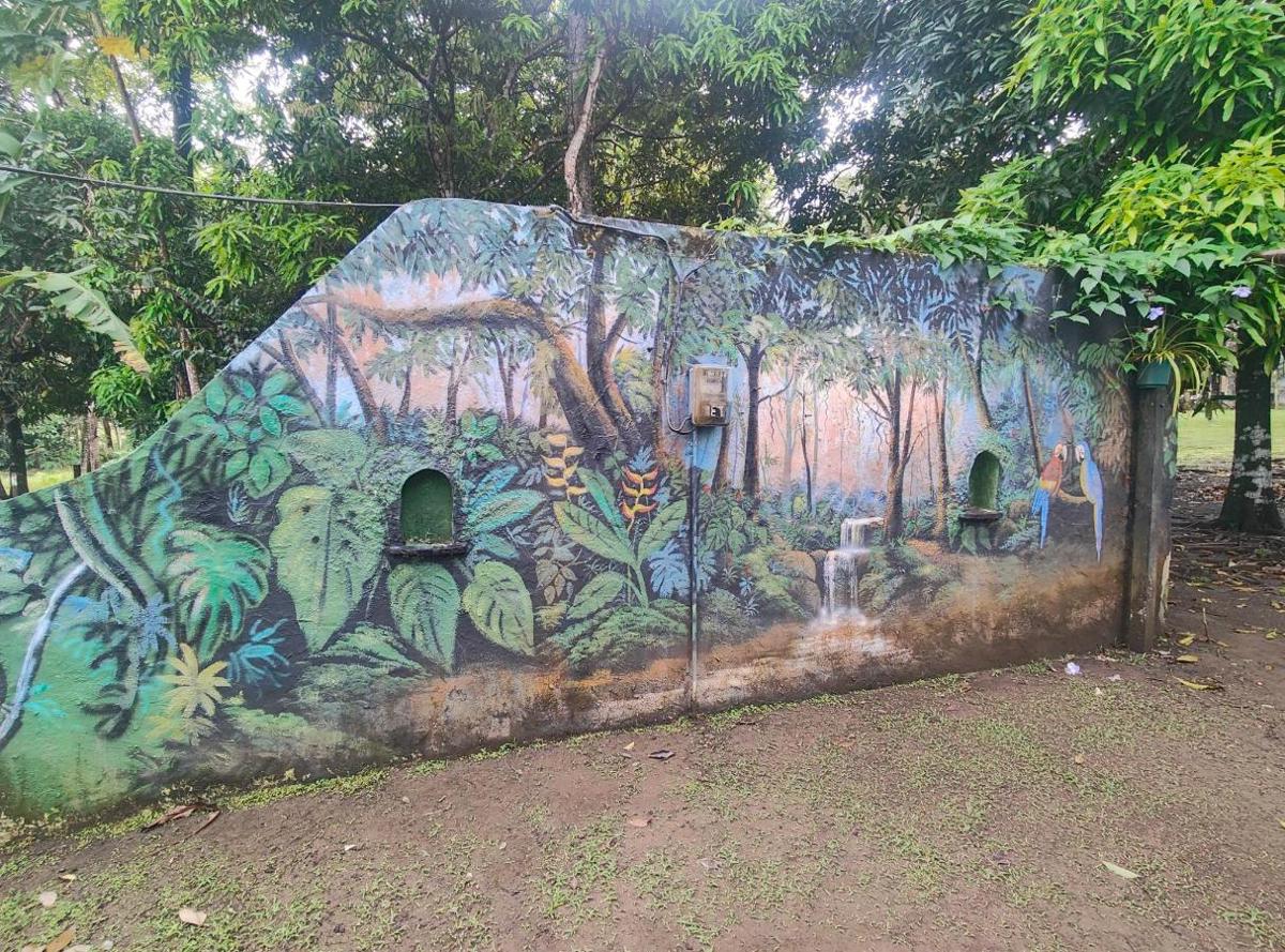 Casa Alma photo 4