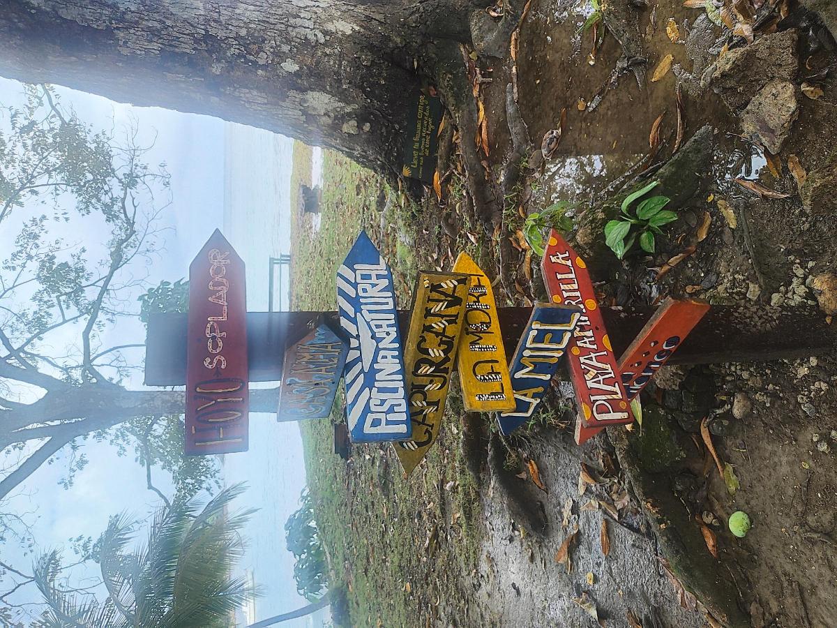 Casa Alma photo 5