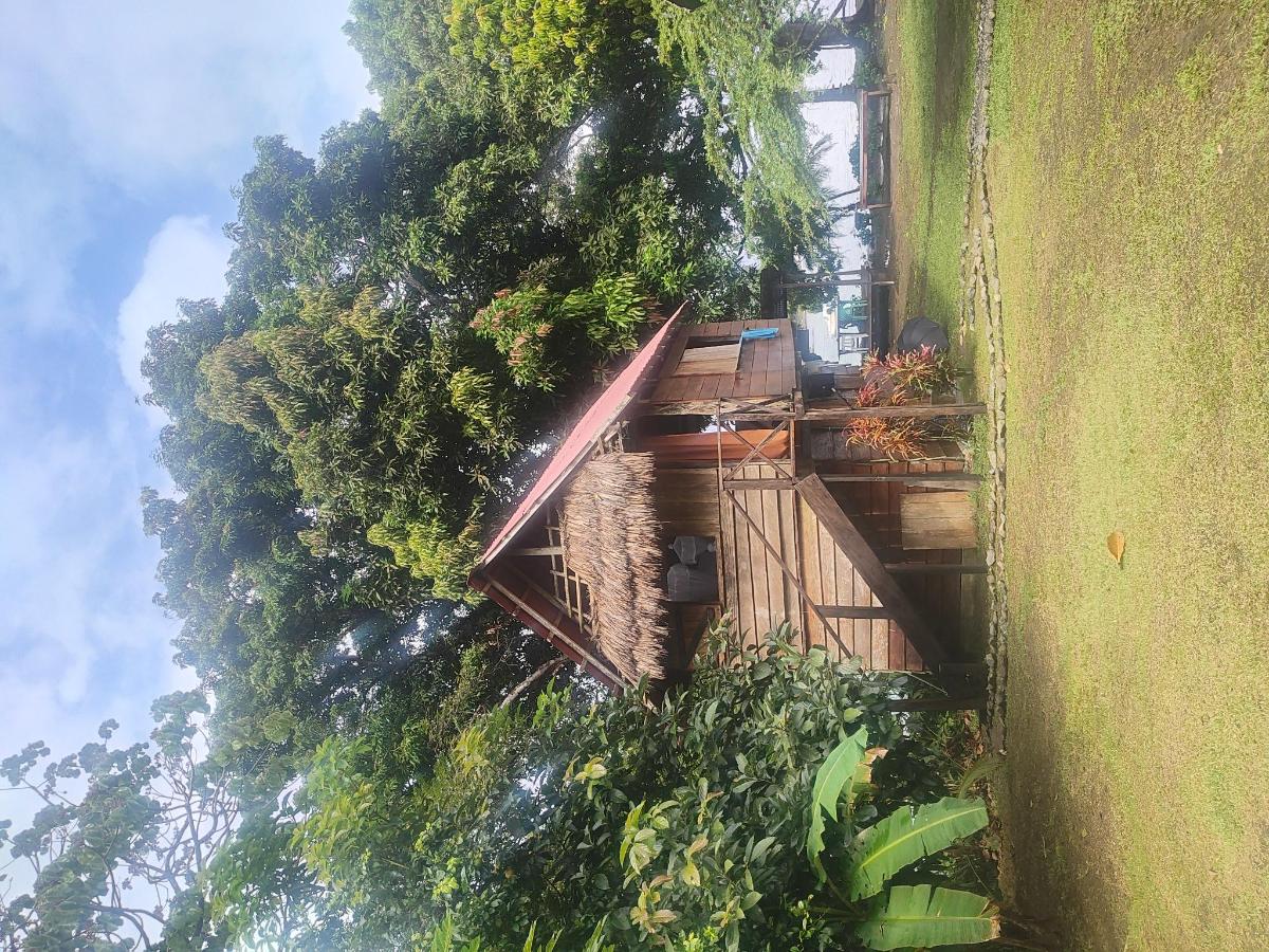 Casa Alma photo 6