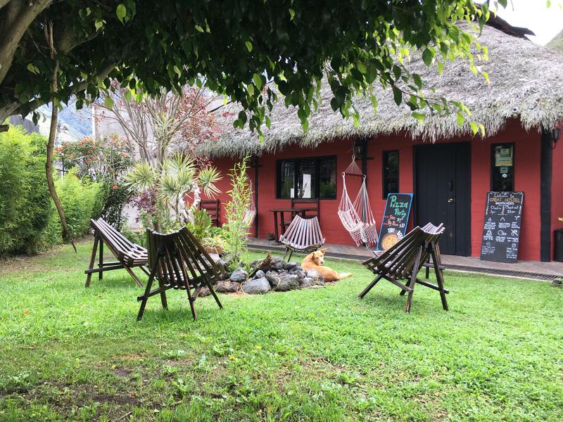 Great Hostels photo 3
