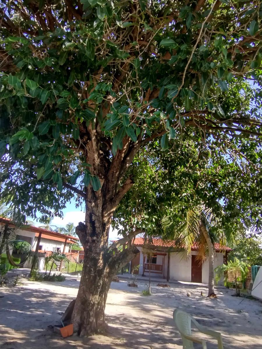 Hostel Campis Shalom photo 2