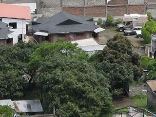 Great Hostels photo 6