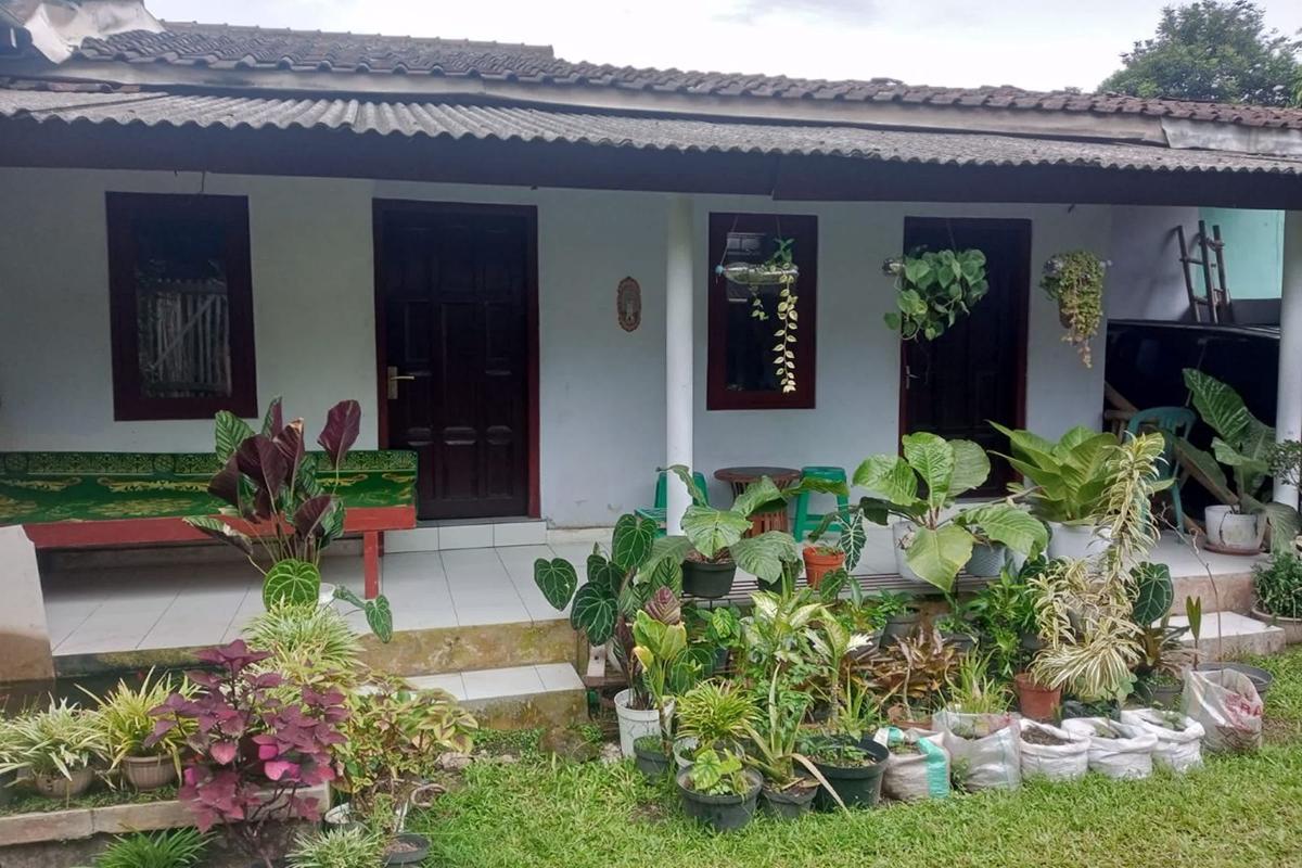 Homestay Wijaya Mulya photo 2