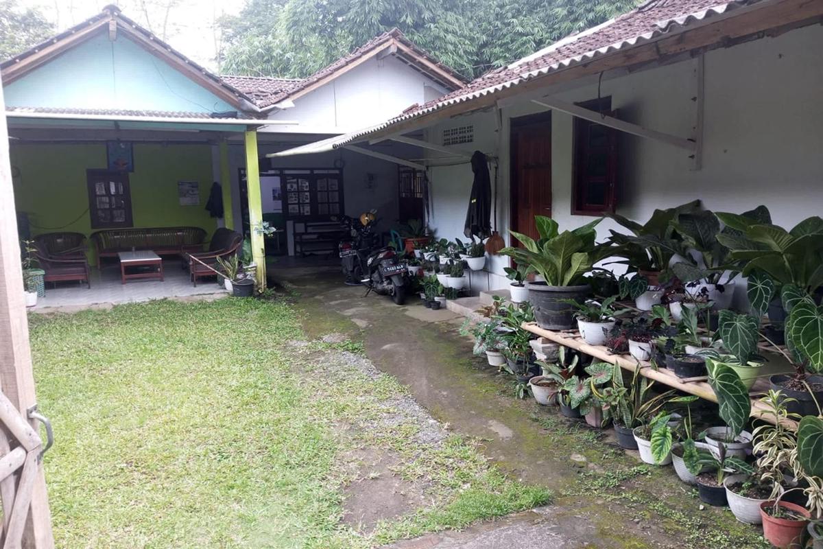 Homestay Wijaya Mulya photo 3