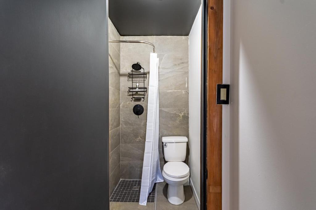 The International House Hostel photo 4