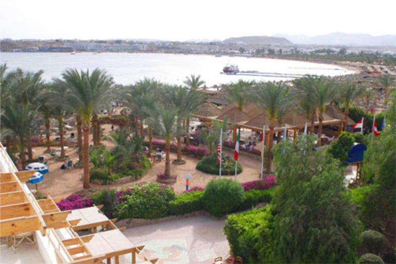 Oonas Dive Club photo 3
