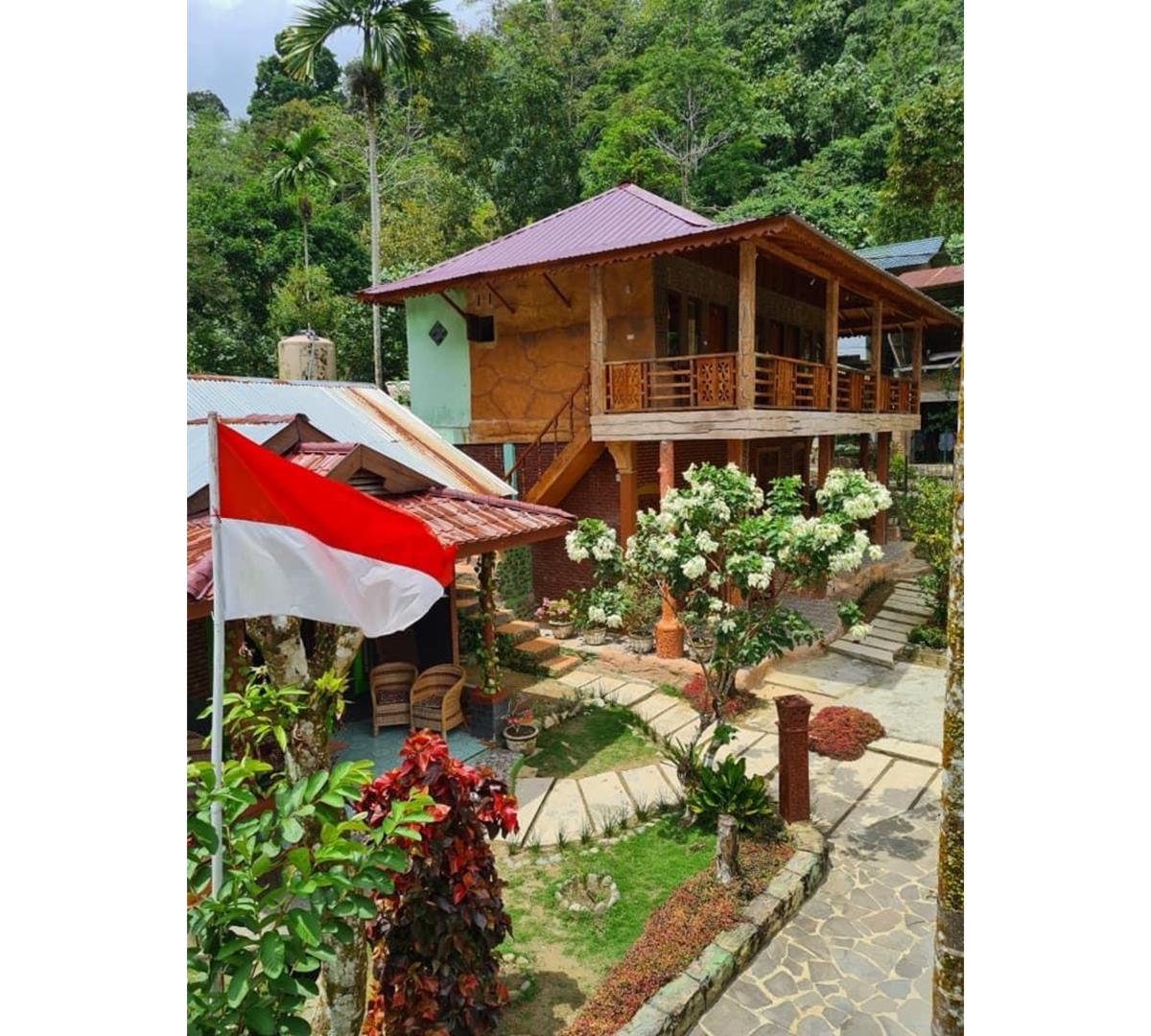 Nora's Homestay and Rainforest photo 1