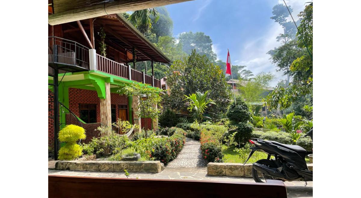 Nora's Homestay and Rainforest photo 2