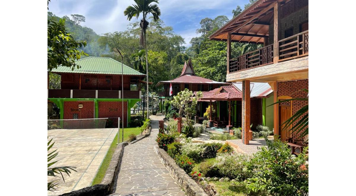 Nora's Homestay and Rainforest photo 3