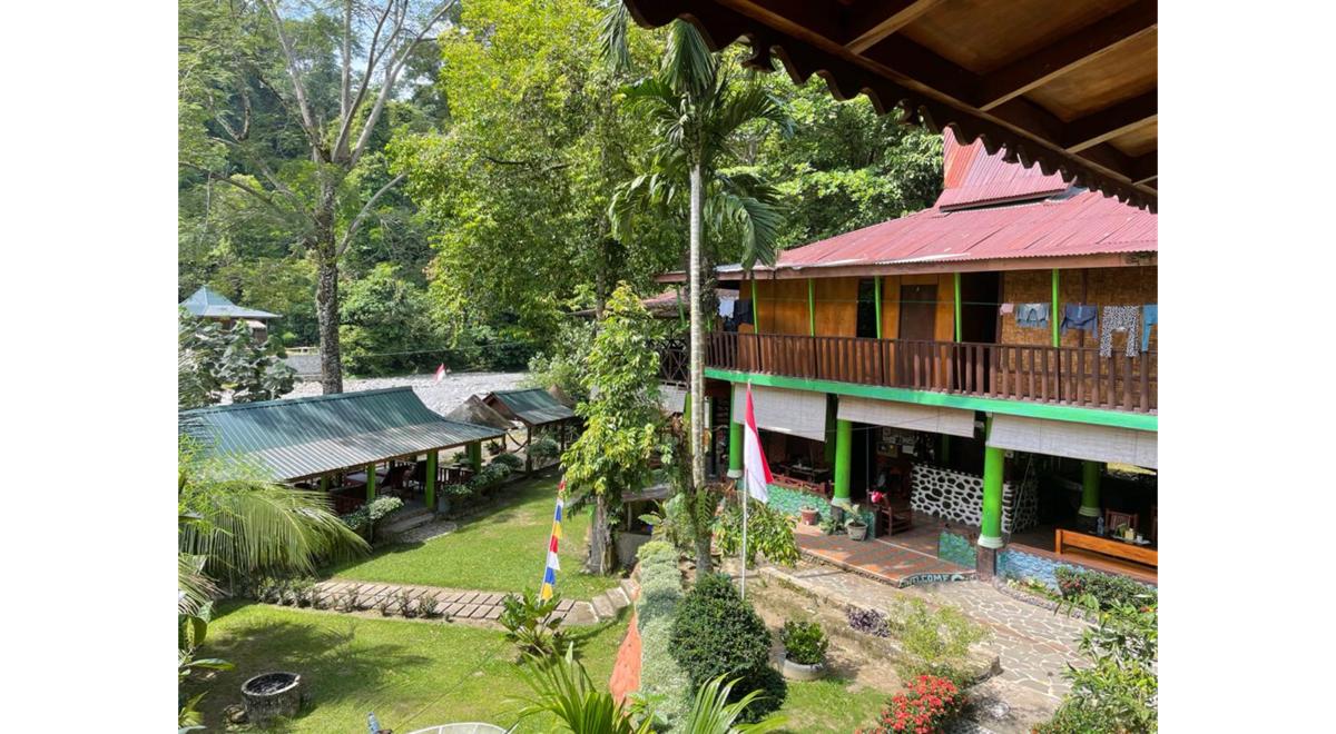 Nora's Homestay and Rainforest photo 4