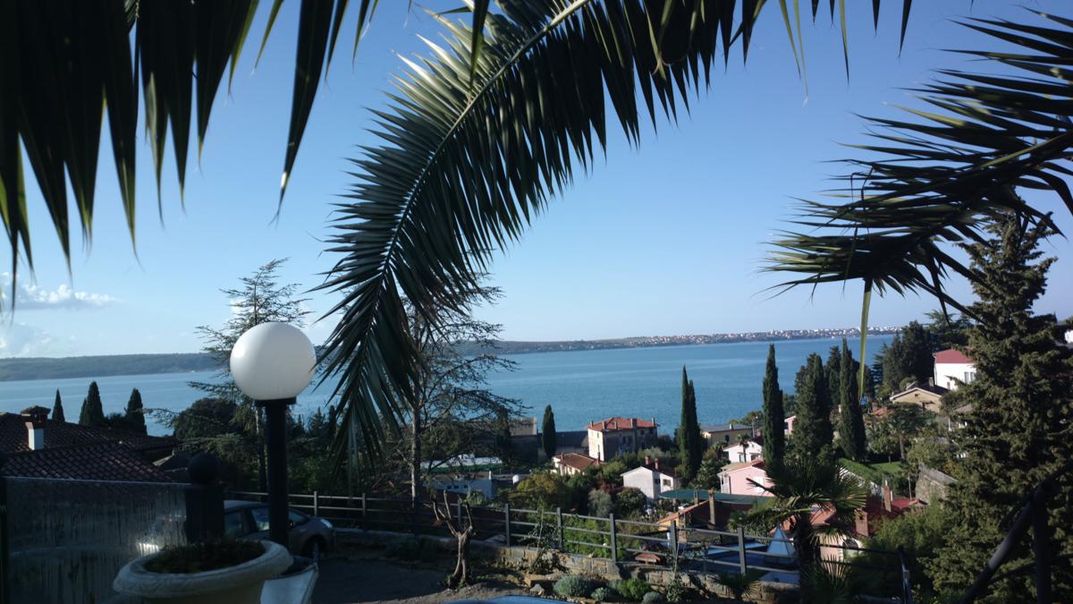 Monfort Apartments photo 2