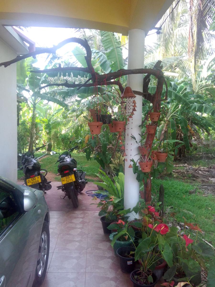 Diyawara Home Stay photo 3