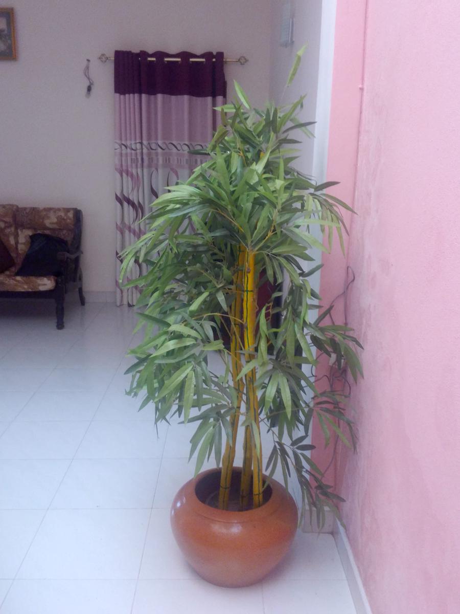 Diyawara Home Stay photo 4