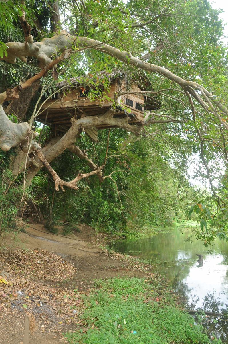 Yala Shenu Safari Tourist Inn photo 2