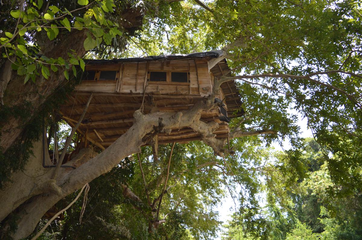 Yala Shenu Safari Tourist Inn photo 3