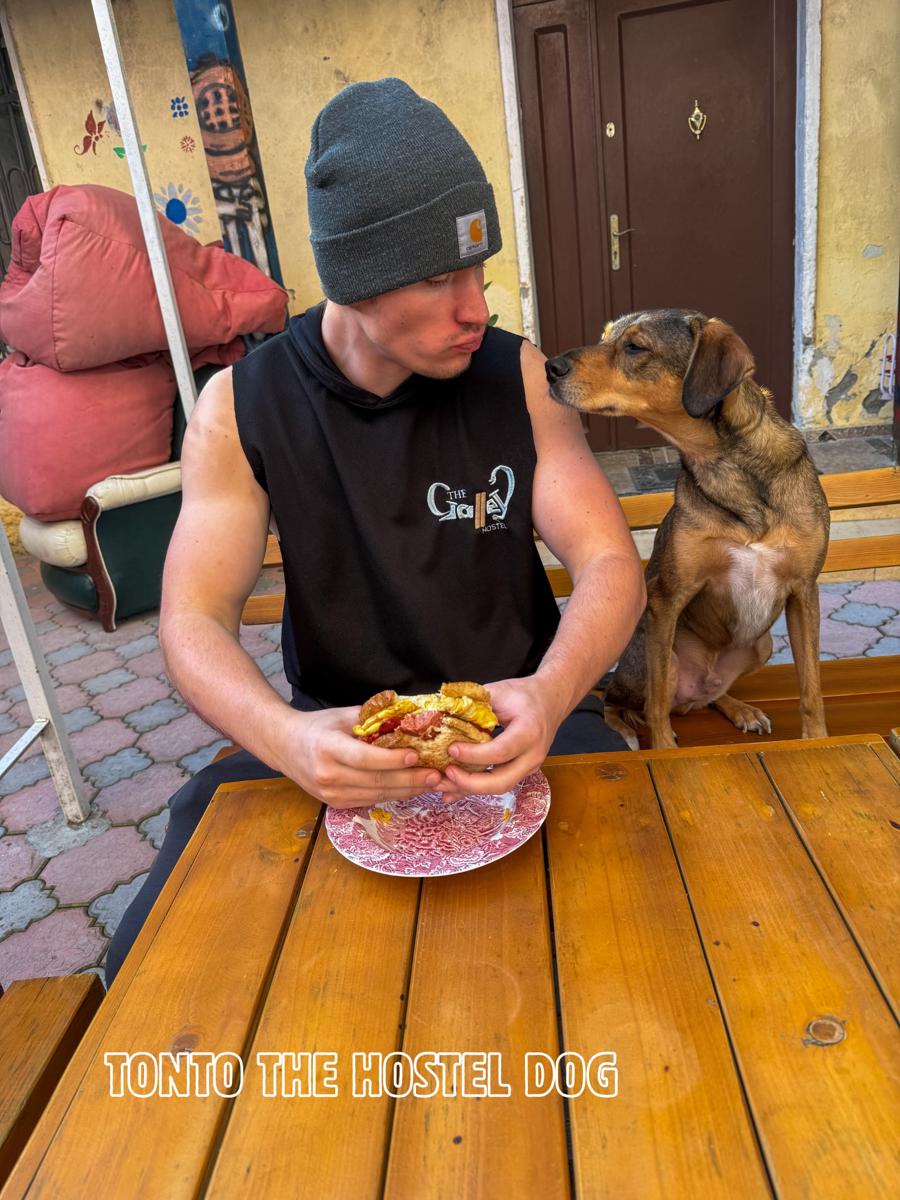 The Galley Party Hostel, Social & Solo Travellers + Day Tours photo 4
