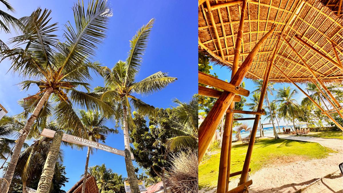 On Board Panglao Beach Hostel and Resort photo 3