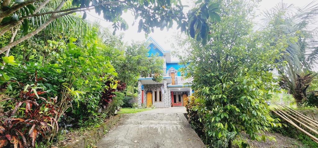 Pondok Wisata Tasya Marawuwung photo 4