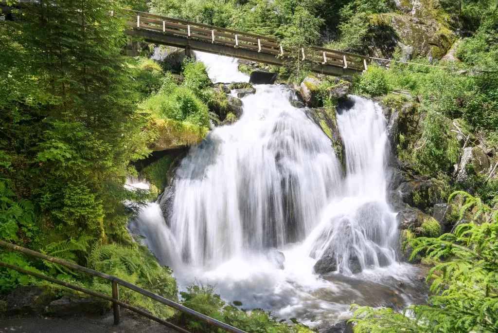 DaHeim Triberg photo 2